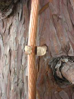 Material específico, el cordón conductor no debe tocar el tronco