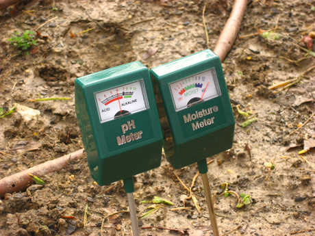 Conocer los parámetros básicos de suelo es esencial para el cuidado de los árboles